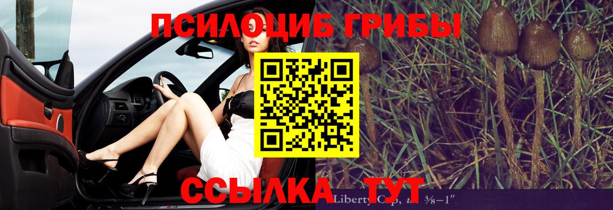 Псилоцибиновые грибы прущие грибы Чайковский