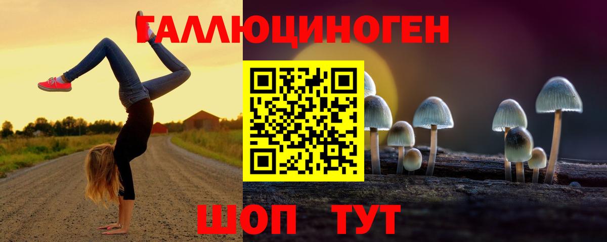 Галлюциногенные грибы ЛСД  купить наркотик  Чайковский  Вход с VPN 